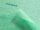 Suma Lavette Medium Green, 6 x 25 db