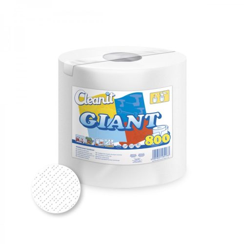 Lucart Cleanit Riese 800 Papierhandtuch